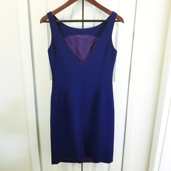 Beautiful Blue Alberto Makali Sheath Dress - Picture 4 of 12